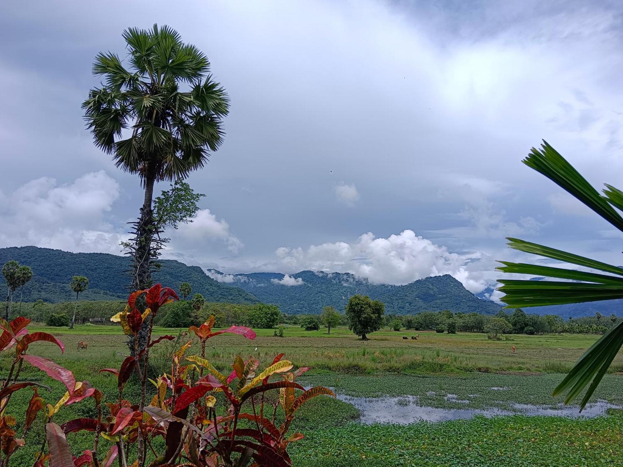 4 Seasons Mini House Hotel นครศรีธรรมราช ภายนอก รูปภาพ