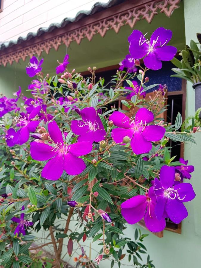 4 Seasons Mini House Hotel นครศรีธรรมราช ภายนอก รูปภาพ