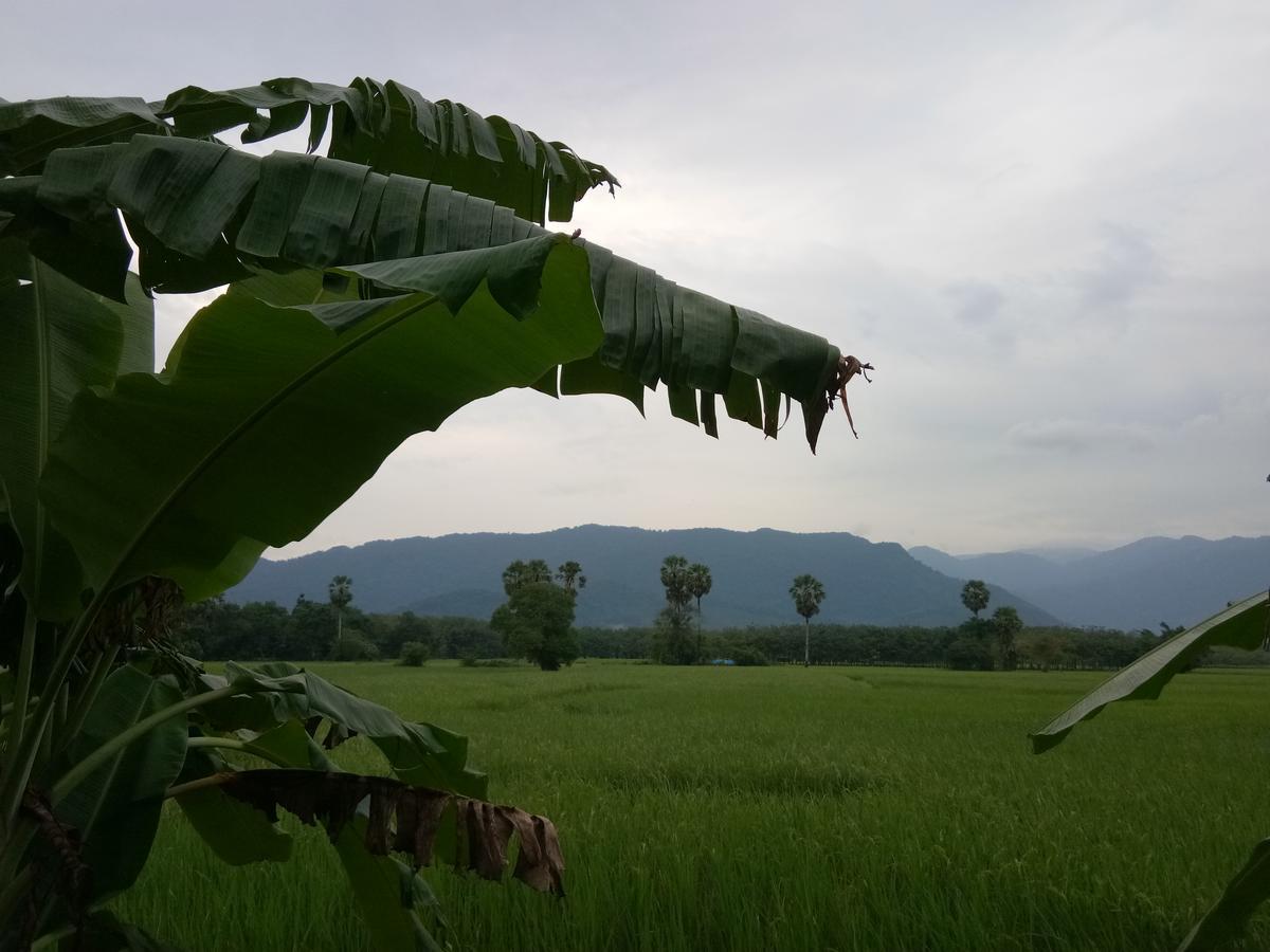 4 Seasons Mini House Hotel นครศรีธรรมราช ภายนอก รูปภาพ