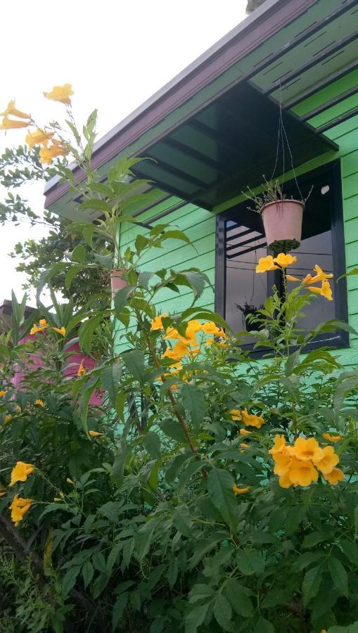 4 Seasons Mini House Hotel นครศรีธรรมราช ภายนอก รูปภาพ